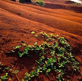 《伊苏X -诺曼荣光-》简中版将于8月21日发售 期待吗？