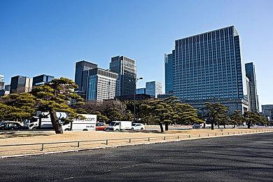 新作《EA Sports大学橄榄球24》即将正式公布